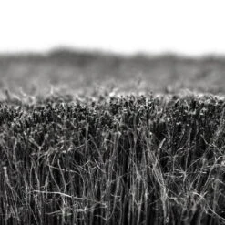 Muc-Off Super Soft Wash Brush Fahrradbürste, Rahmenbürste Mit Gummischutz -Sportfahrrad 59203796 04KGsO86QdZJiFS 1280x1280